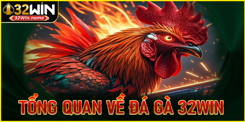 Tổng quan về đá gà 32WIN